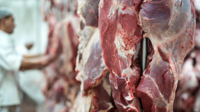 Como Escolher a Faca Cruzeta para Moedor de Carne Ideal